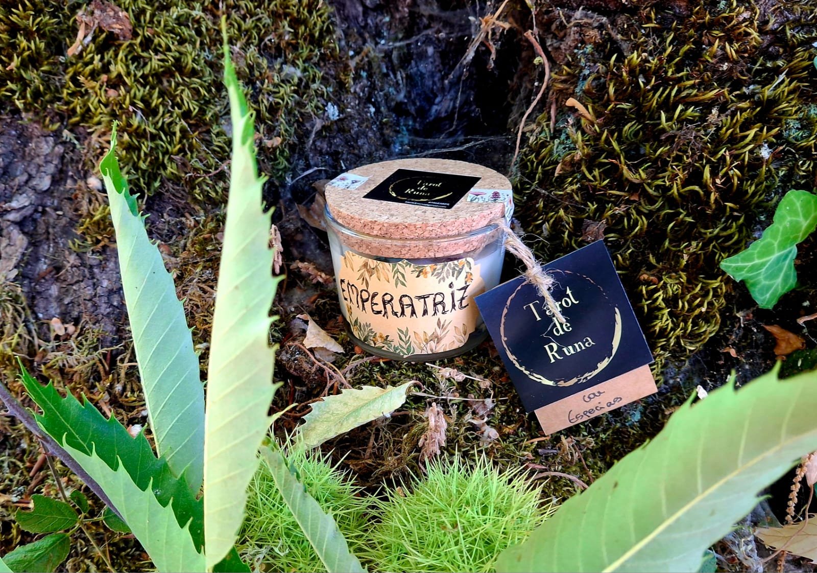 Vela Emperatriz - Imagen 2