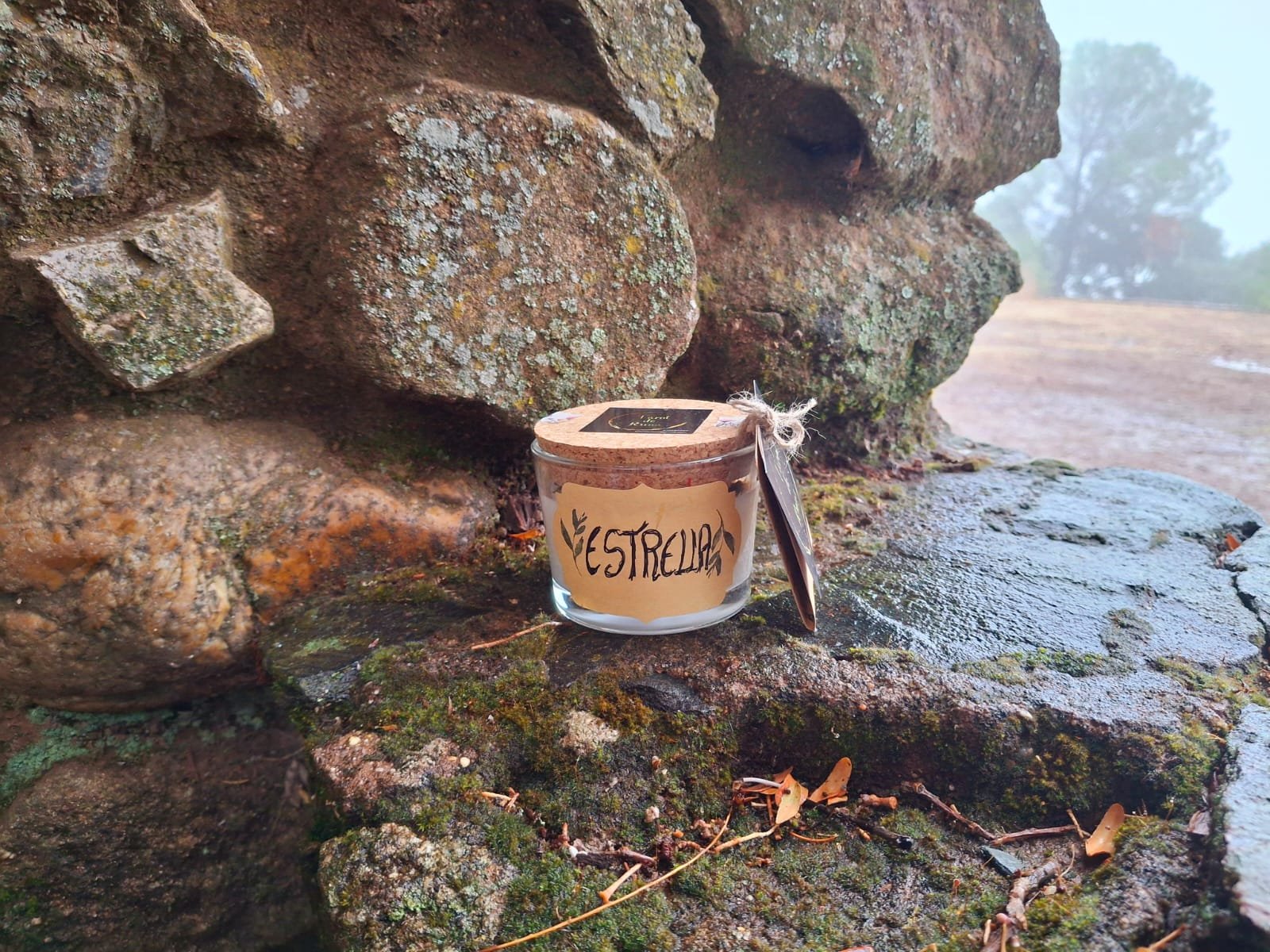 Vela Estrella - Imagen 2