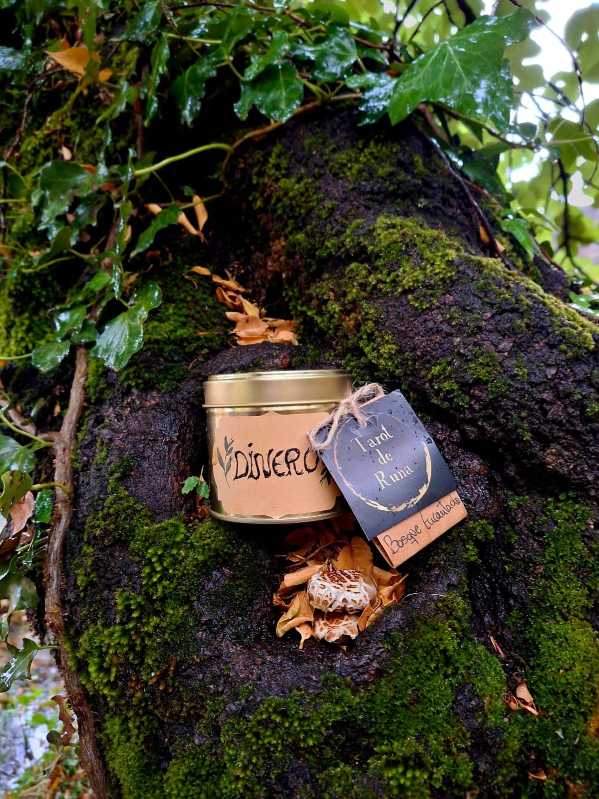 Vela del Dinero - Imagen 2